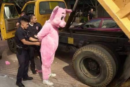 arrested-pig1-e1321150237333